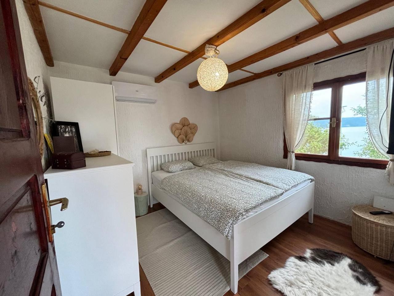 Apartment Hedona Donji Milanovac