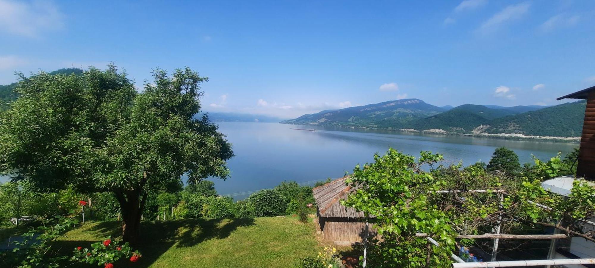Hedona * Donji Milanovac
